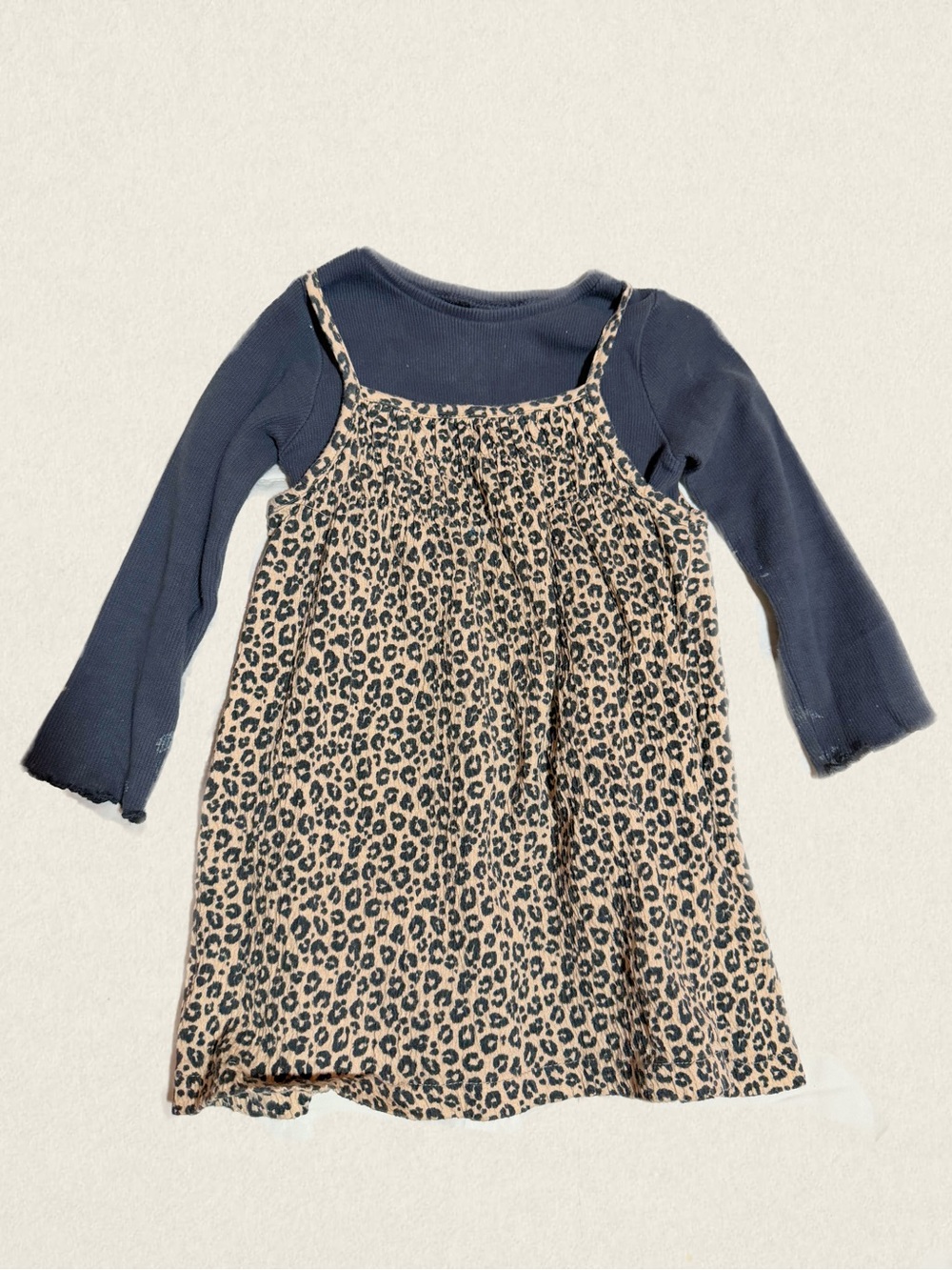 Zara Long Sleeve Top with Leopard Print Slip Dress